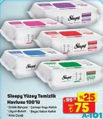 SLEEPY YÜZEY TEMİZLİK HAVLUSU 100'LÜ